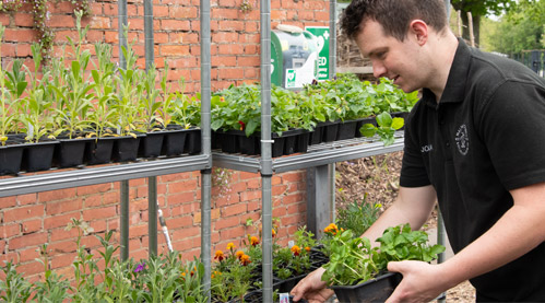 Gardening on the Tyfu project